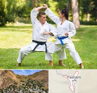 باشگاه هاپکیدو در فشم