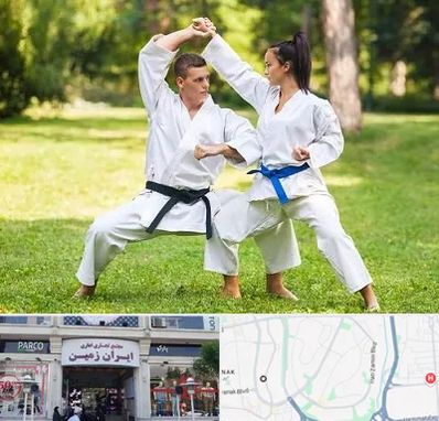 باشگاه هاپکیدو در ایران زمین