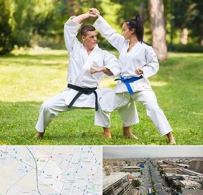 باشگاه هاپکیدو در حصارک کرج