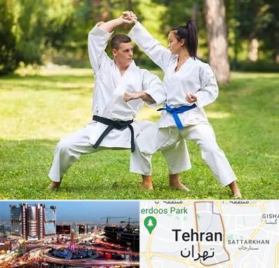 باشگاه هاپکیدو در صادقیه 