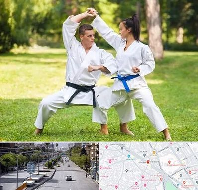 باشگاه هاپکیدو در خیابان زند شیراز