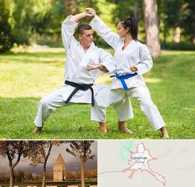باشگاه هاپکیدو در تویسرکان