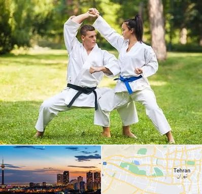 باشگاه هاپکیدو در غرب تهران 