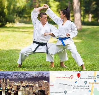 باشگاه هاپکیدو در جردن 