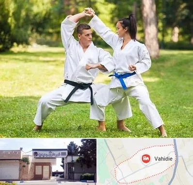 باشگاه هاپکیدو در وحیدیه شهریار