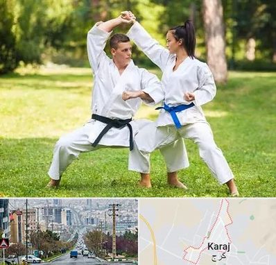 باشگاه هاپکیدو در گوهردشت کرج 