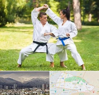 باشگاه هاپکیدو در منطقه 4 تهران 