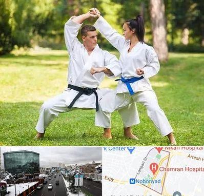 باشگاه هاپکیدو در اقدسیه 