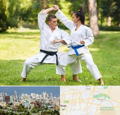 باشگاه هاپکیدو در شرق تهران 