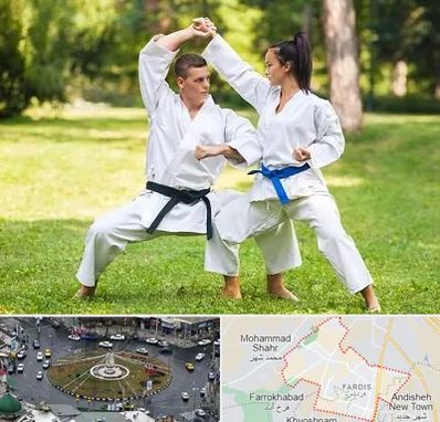 باشگاه هاپکیدو در فردیس کرج 