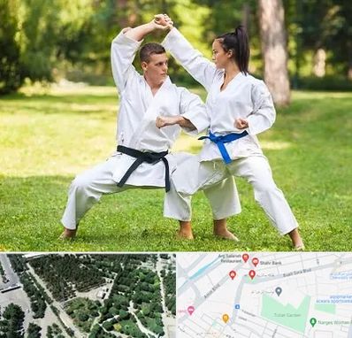 باشگاه هاپکیدو در سالاریه قم