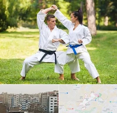 باشگاه هاپکیدو در محمد شهر کرج