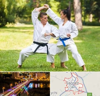 باشگاه هاپکیدو در سقز