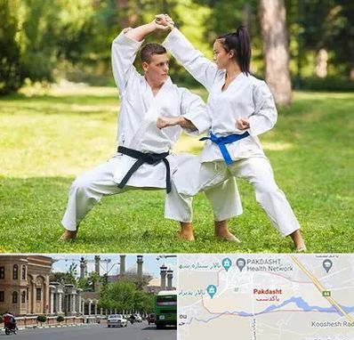 باشگاه هاپکیدو در پاکدشت