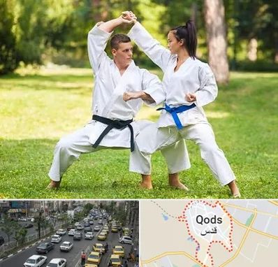 باشگاه هاپکیدو در شهر قدس