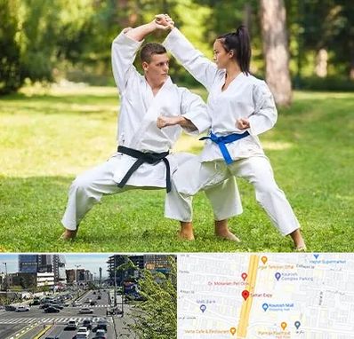 باشگاه هاپکیدو در ستاری 