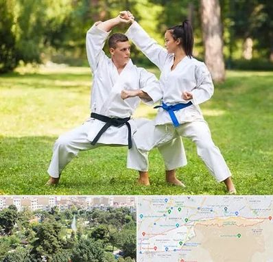 باشگاه هاپکیدو در منطقه 13 تهران 