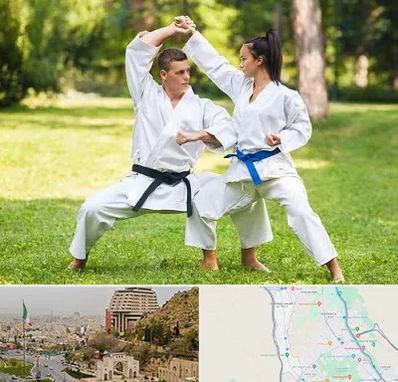 باشگاه هاپکیدو در فرهنگ شهر شیراز