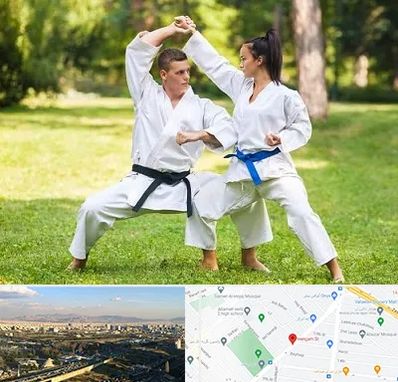 باشگاه هاپکیدو در هنگام 