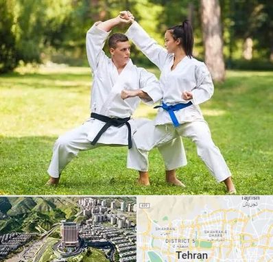 باشگاه هاپکیدو در شمال تهران 