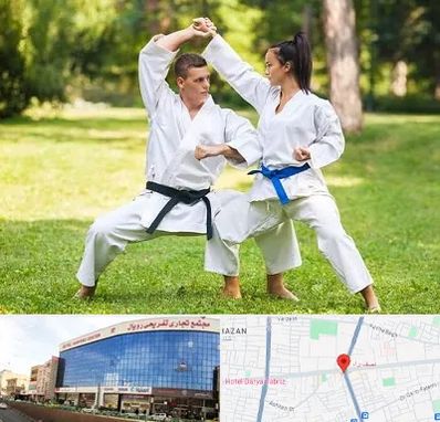 باشگاه هاپکیدو در نصف راه تبریز