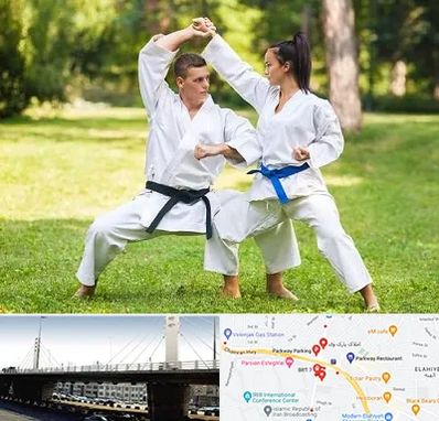 باشگاه هاپکیدو در پارک وی 