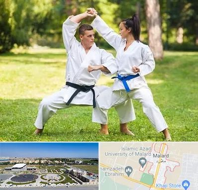 باشگاه هاپکیدو در ملارد