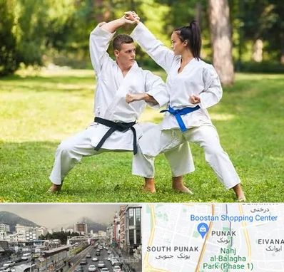 باشگاه هاپکیدو در پونک 