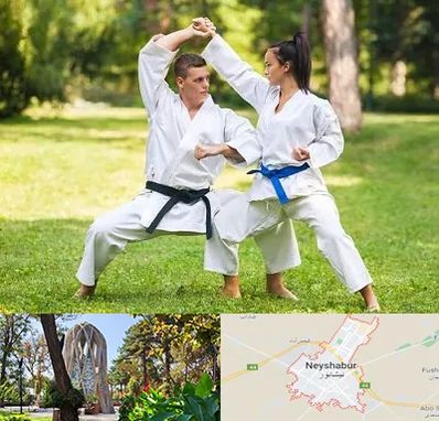 باشگاه هاپکیدو در نیشابور