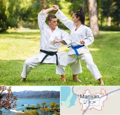 باشگاه هاپکیدو در مریوان