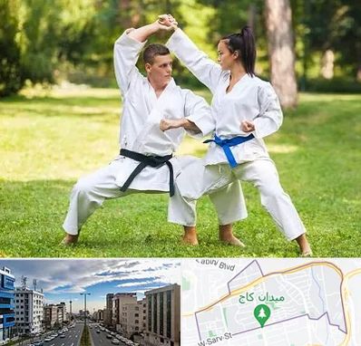 باشگاه هاپکیدو در سعادت آباد 