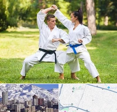 باشگاه هاپکیدو در ازگل