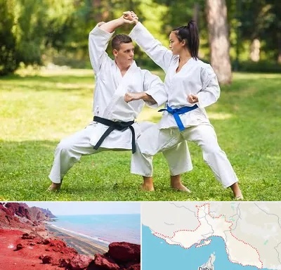 باشگاه هاپکیدو در هرمزگان