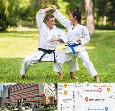 باشگاه هاپکیدو در سهروردی 