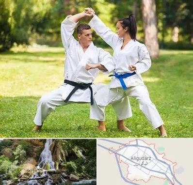 باشگاه هاپکیدو در الیگودرز