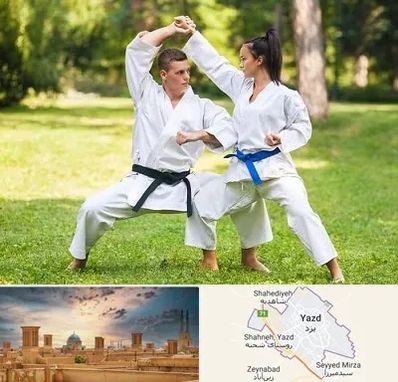 باشگاه هاپکیدو در یزد