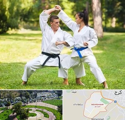 باشگاه هاپکیدو در مهرشهر کرج 