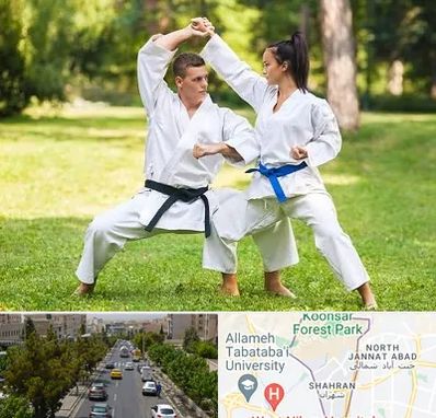 باشگاه هاپکیدو در شهران 