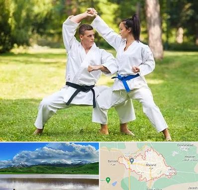 باشگاه هاپکیدو در مرند