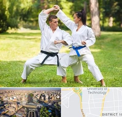 باشگاه هاپکیدو در استاد معین 