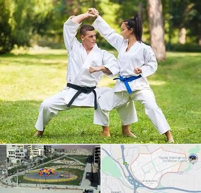 باشگاه هاپکیدو در مرزداران تبریز