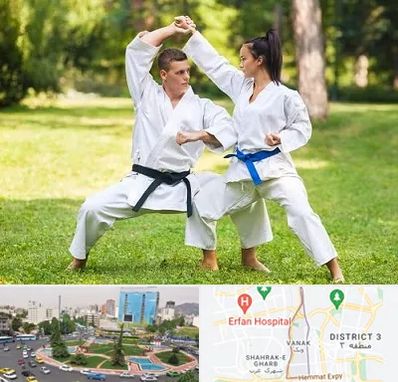 باشگاه هاپکیدو در ونک 