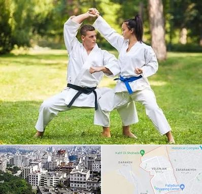 باشگاه هاپکیدو در ولنجک 