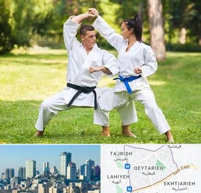 باشگاه هاپکیدو در قیطریه 