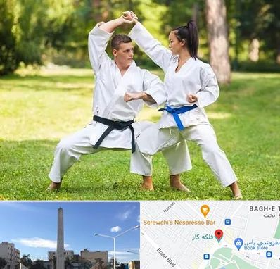 باشگاه هاپکیدو در فلکه گاز شیراز