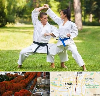 باشگاه هاپکیدو در ولیعصر 