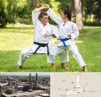 باشگاه هاپکیدو در سبزوار