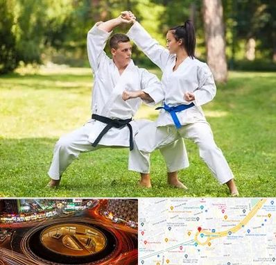 باشگاه هاپکیدو در میدان ولیعصر 