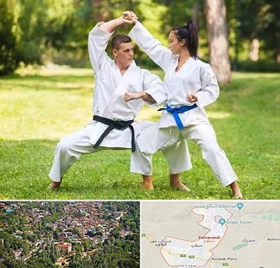 باشگاه هاپکیدو در دماوند