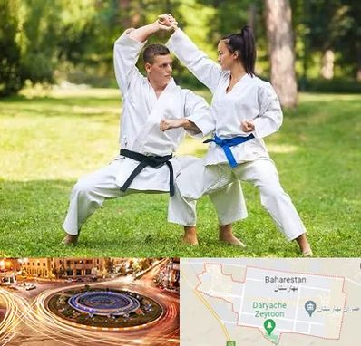 باشگاه هاپکیدو در بهارستان